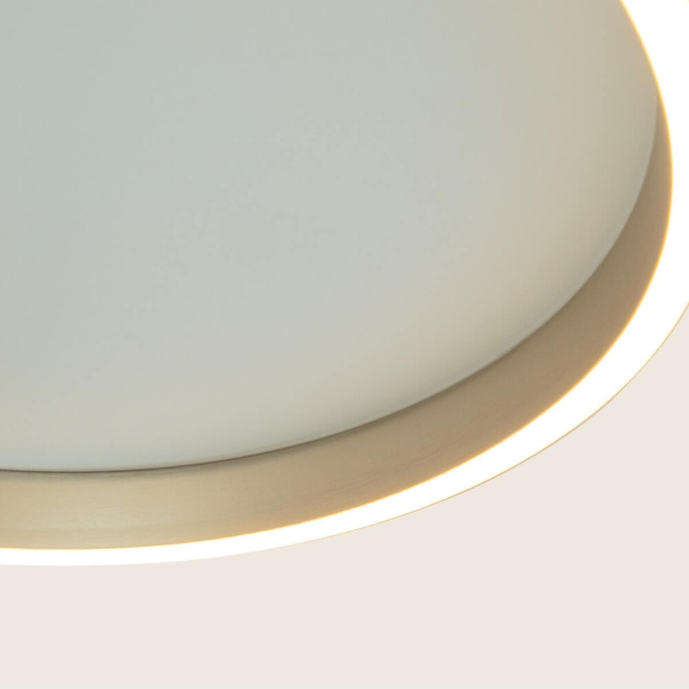 25164#25164_Details