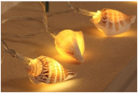 Γιρλάντα Κοχύλια Jolylight LED 10L Θερμό Φως 1.5m Μπαταρίας Διάφανο