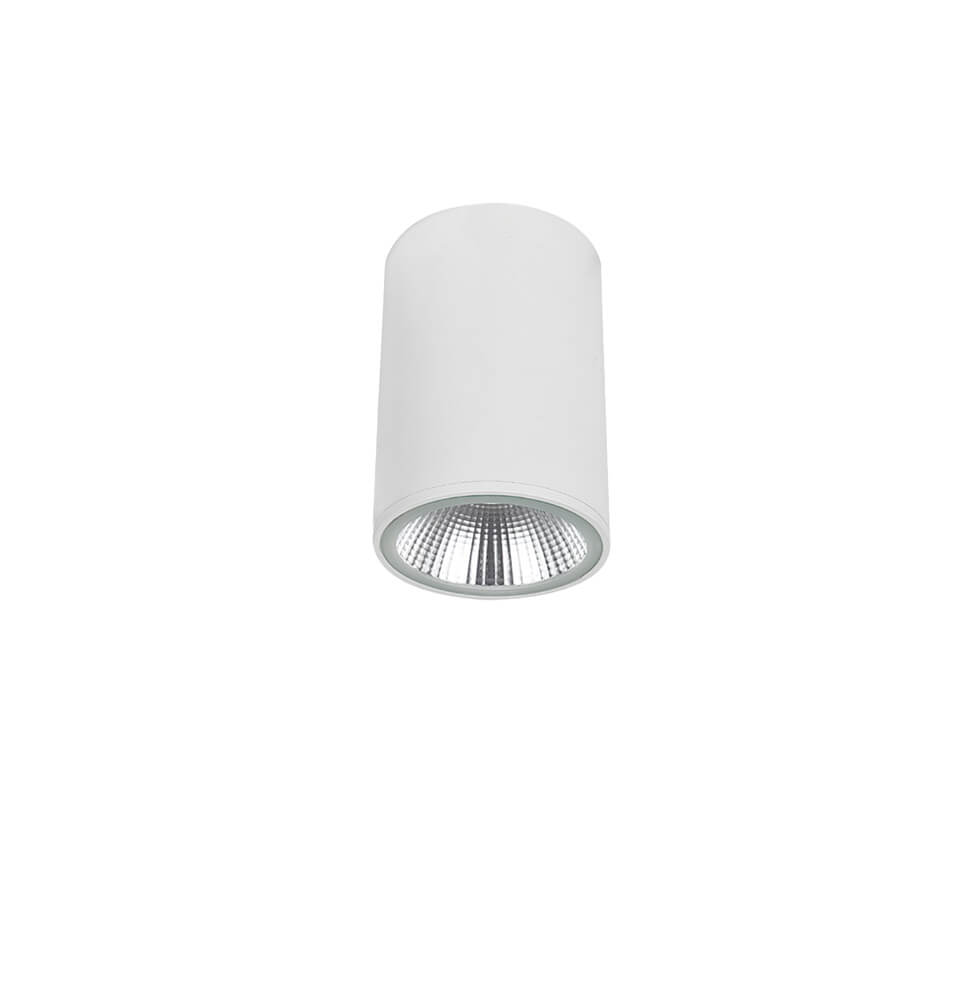 Σποτ Οροφής Dermot LED 10W 3000K Δ:9cm Λευκό
